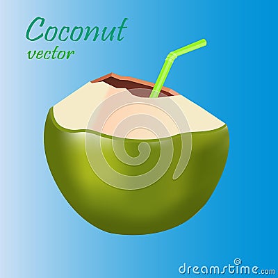 Fresh coconut juice with green straw Vector Illustration