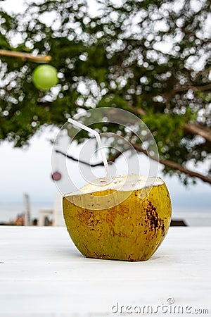 Fresh Coconut Ready To Drink Stock Photo