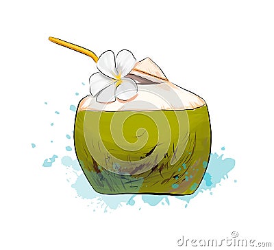 Fresh coconut tropical cocktail with straws from splash of watercolors, colored drawing, realistic Vector Illustration