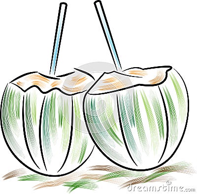 Fresh coconut water drink Vector Illustration