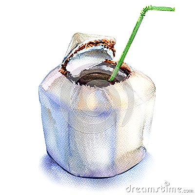 Fresh coconut water drink with straw, watercolor illustration on white Cartoon Illustration