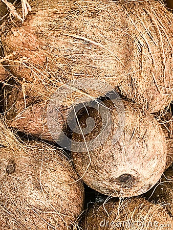 Fresh Coconuts for Sale at a Local Grocery Store Stock Photo