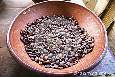 Fresh coffee beans in containers. Stock Photo