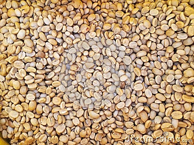 Fresh coffee seed before roast Stock Photo