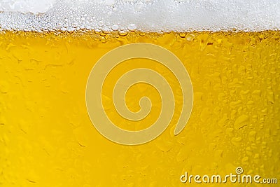Fresh cold and tasty beer Stock Photo