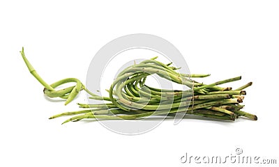fresh colocasia stem or taro isolated on white background Stock Photo