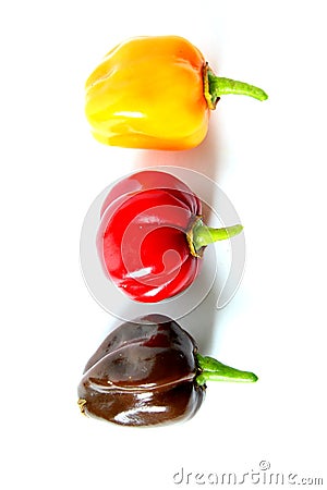 Fresh colorful habanero chili peppers isolated on a white background, national colors of Germany, black, red, gold Stock Photo
