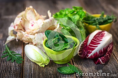 Fresh colorful lettuce Stock Photo