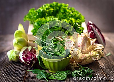 Fresh colorful lettuce Stock Photo