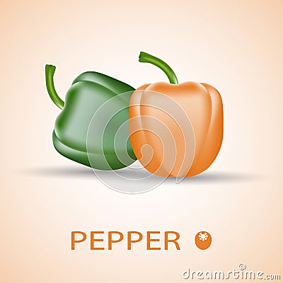 Fresh colorful peppers. Green and orange. Vector Illustration