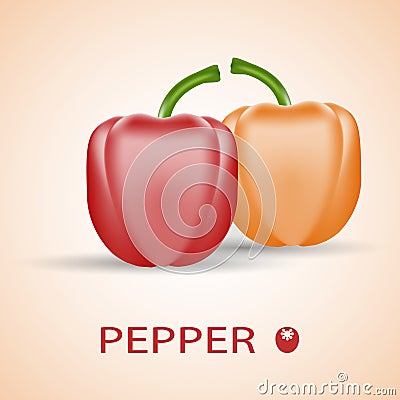 Fresh colorful peppers. Red and orange. Vector Illustration