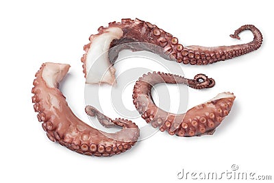 Fresh cooked octopus tentacles Stock Photo