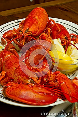 Fresh cooked red lobster on a serving platter Stock Photo