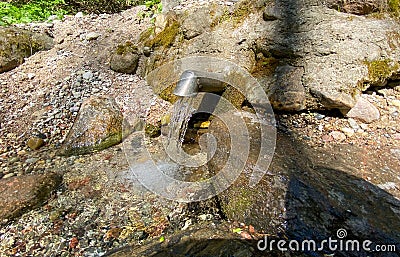 A fresh and cool spring flows from the ground. Cool and delicious spring water. Natural underground water source Stock Photo