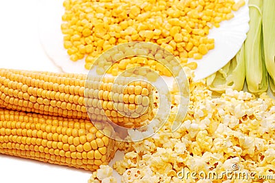 Fresh corn Stock Photo