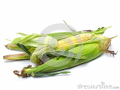 Fresh corn Stock Photo