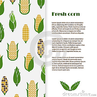 Fresh corn banner template design. Vector harvest flyer Vector Illustration