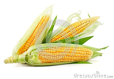 Fresh corn vegetable with green leaves Stock Photo