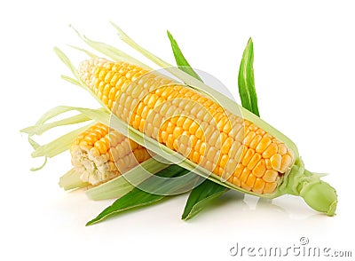 Fresh corn vegetable with green leaves Stock Photo