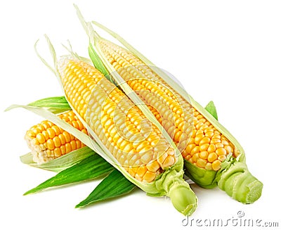 Fresh corn vegetable with green leaves Stock Photo