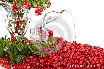 Fresh cowberry with green leaves Stock Photo