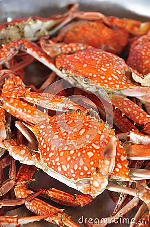 Fresh Crab background Stock Photo