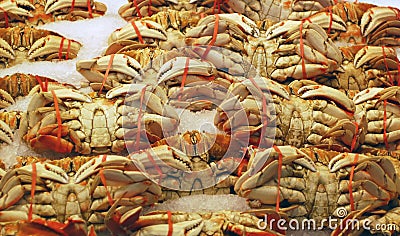 Fresh Crab on Ice Stock Photo