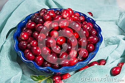 Fresh cranberries in a blue bowl. Ripe berries of Vaccinium macrocarpon, also large cranberry, American cranberry or bearberry. Stock Photo