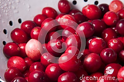 Fresh Cranberries in Colander Stock Photo