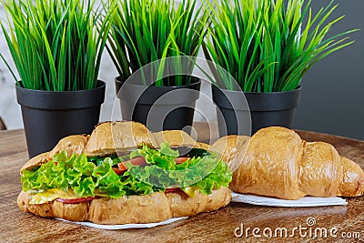 Fresh croissant with ham and salad leaf with sfresh salad on white. Stock Photo