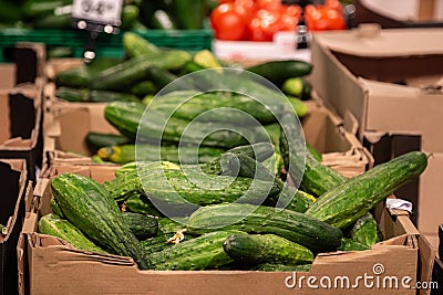 Fresh cucumber in box sale green grocery food store. Stock Photo