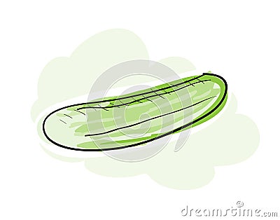 Fresh Cucumber Vector Illustration