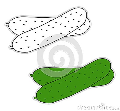 Fresh cucumber, illustration, vector Vector Illustration