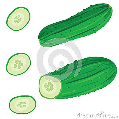 Fresh cucumber set with sliced, whole and slices isolated on whitebackground. Vector illustration in cartoon realistic style. Vector Illustration