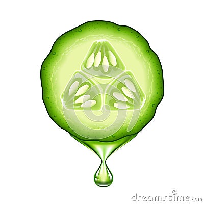 Fresh cucumber slice Vector Illustration