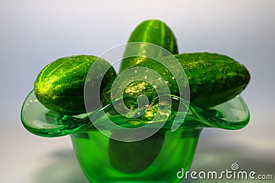 Fresh cucumbers in a green vase on the table. Stock Photo