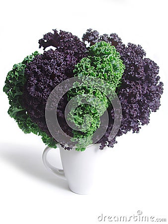 Fresh curly kale leaves Stock Photo