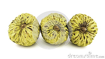 Fresh Custard Apple or Ripe Sugar Apple Fruit Annona, sweetsop Isolated on white background on with clipping path / well-branch Stock Photo