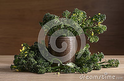 Fresh Cut Broccolini Bunch Stock Photo