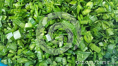 fresh cut pieces of leek for vegetable soup Stock Photo