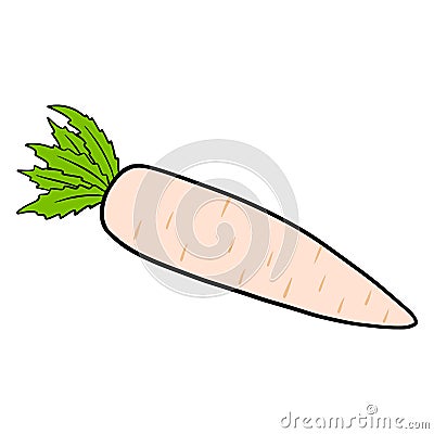 Fresh daikon. Japanese radish. Ingredient for dishes. Cartoon Illustration