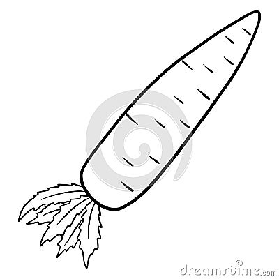 Fresh daikon. Japanese radish. Ingredient for dishes. Cartoon Illustration