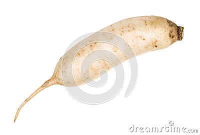 fresh Daikon long white radish cutout on white Stock Photo