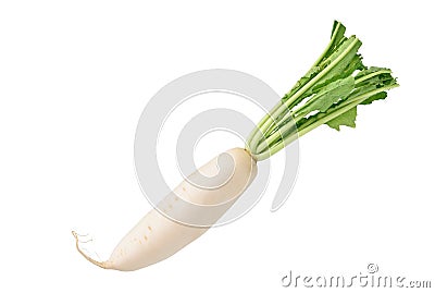 Fresh Daikon radish on white Stock Photo