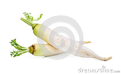 Fresh daikon radish isolated on the white Stock Photo