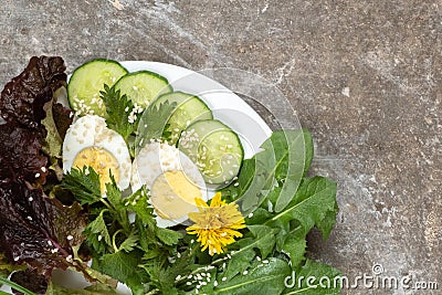 Fresh dandelion and lettuce leaves, boiled egg and cucumber on a white plate on a concrete background. Cooking healthy Stock Photo