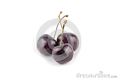 Fresh dark purple cherry isolated background Stock Photo