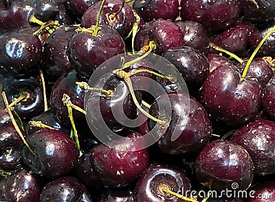 Fresh dark red cherries background Stock Photo