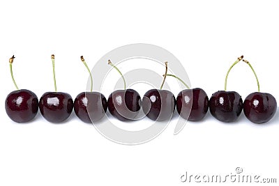 Fresh dark red cherries of the type Kordia in a line isolated on a white background Stock Photo