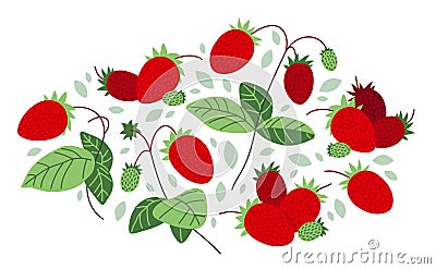 Fresh delicious ripe wild strawberries vector flat illustration isolated on white, natural diet food vegetation tasty eating, Vector Illustration